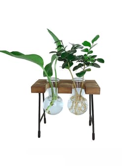 Hydroponic plant container flower pot creative small bench glass vase wholesale fresh wooden glass crafts thumbnail 5