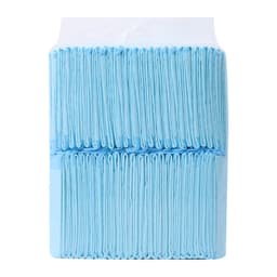 亚马逊跨境尿垫宠物尿垫除臭加厚尿片狗狗尿垫批发吸水垫一件代发 thumbnail 5