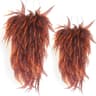 69 Leaf Encryption-Sunset Red Persian Fern