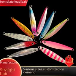 Wan Ya's New Shore Throwing Small Iron Plate False Bait Sequin Luya Metal Bait Iron Plate Lead Bait 60g Japanese Iron Plate thumbnail 1