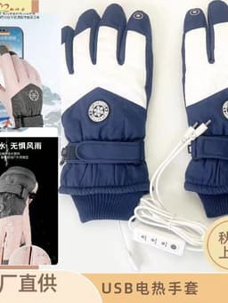 Amazon USB electric heating ski gloves touch screen winter outdoor warm riding cross-border manufacturers direct supply thumbnail 2
