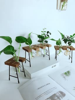 Hydroponic plant container flower pot creative small bench glass vase wholesale fresh wooden glass crafts thumbnail 4