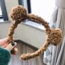 Brown bear ears