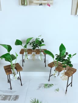 Hydroponic plant container flower pot creative small bench glass vase wholesale fresh wooden glass crafts thumbnail 3